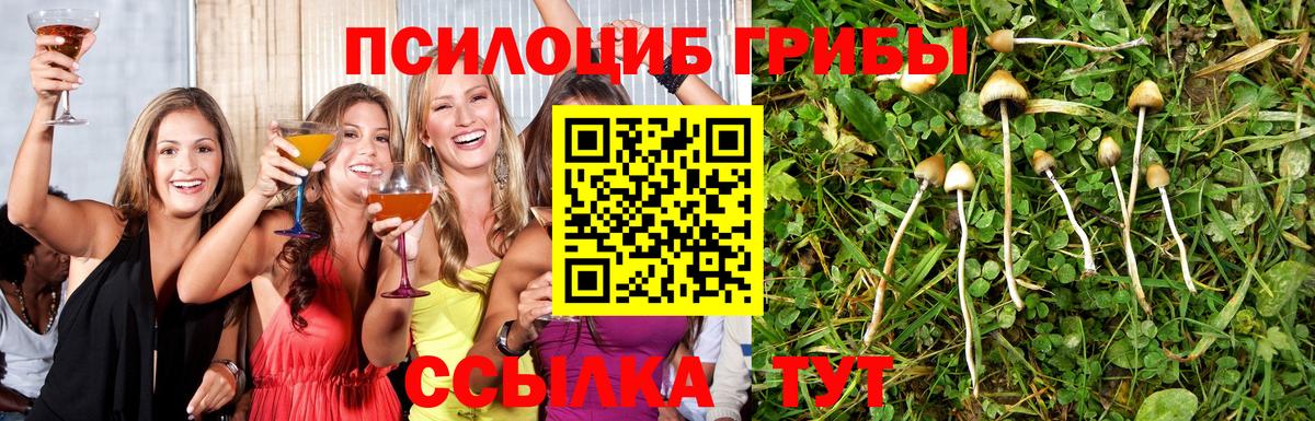 закладка  Галлюциногенные грибы GOLDEN TEACHER  Псилоцибиновые грибы мицелий  Вход с VPN  Черкесск 